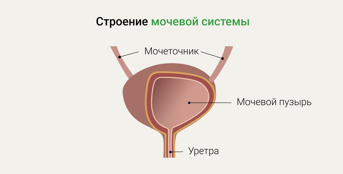 Генитальный герпес - симптомы, диагностика и лечение